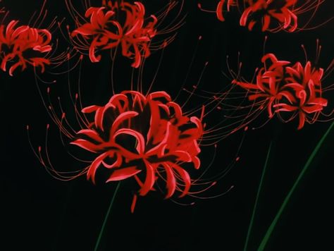 Spider Lilies Aesthetic, Lilies Aesthetic, Red Spider Lilies, Spider Lilies, Red Spider Lily, Spider Lily, Red Spider, Hell Girl, Funny Mouse