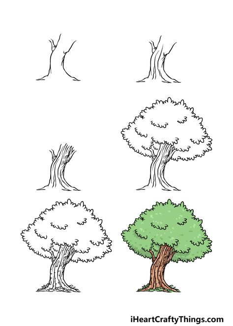 Oak Tree Drawing - How To Draw An Oak Tree Step By Step Easy Nature Drawings, Oak Tree Drawings, Comic Book Frames, Tree Doodle, Easy Drawings Sketches, Nature Drawing, Tree Illustration, Tree Drawing, Zen Doodle