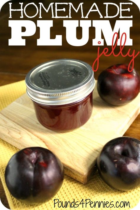 How to Make Homemade Jelly: Easy Plum Jelly Recipe Homemade Buscuits, Plum Jelly Recipe, Plum Juice, Easy Homemade Desserts, Banana Jam, Wine Jelly, Easy Canning, Canning Ideas, Homemade Jelly