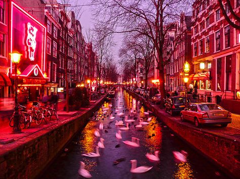 Red Light District, Amsterdam. Can't go to Amsterdam without seeing the red light district. Ha ha! Amsterdam Vacation, Amsterdam City Guide, Amsterdam Red Light District, Visit Amsterdam, Red Light District, Amsterdam Travel, Amsterdam City, Destination Voyage, Anne Frank