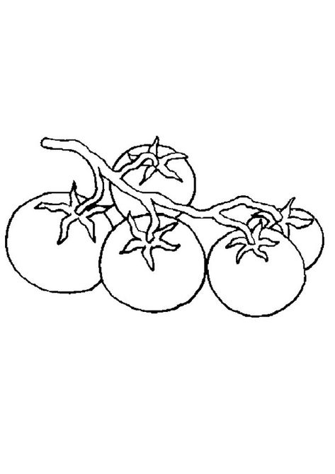 Bunch of Tomato Coloring Page for kids. Free Printable Tomato Coloring Pages For kids download and print. Tomato Tattoo, Tomato Drawing, Diy Halloween Dekoration, Vegetable Coloring Pages, Vine Tattoos, Fruit Art, Pretty Tattoos, Cute Tattoos, Linocut