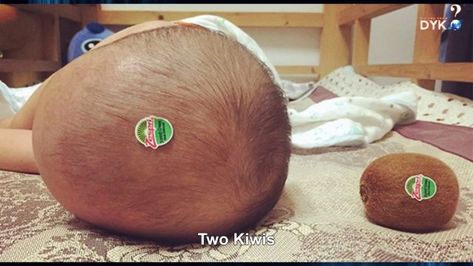 Nothing is cuter than a fresh picked baby. It's amazing when you become what you eat. #parentinghumor Baby Fails, Funny Kid Fails, Baby Sitting, Funny Baby Memes, Funny Pictures For Kids, Baby Memes, Parenting Fail, Joe Rogan, Memes Br