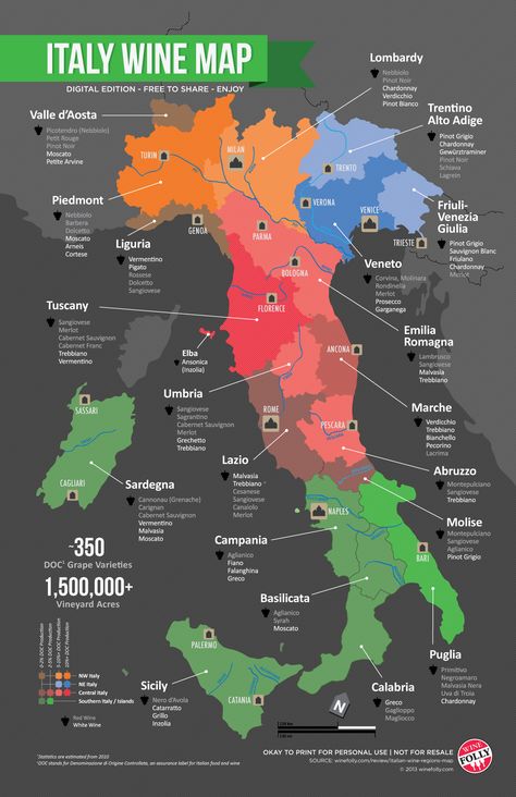 Wine Region Map, Wine Folly, Italy Holiday, Wine Map, Wine Knowledge, Wine Grapes, Italy Wine, Wine Guide, Italy Map