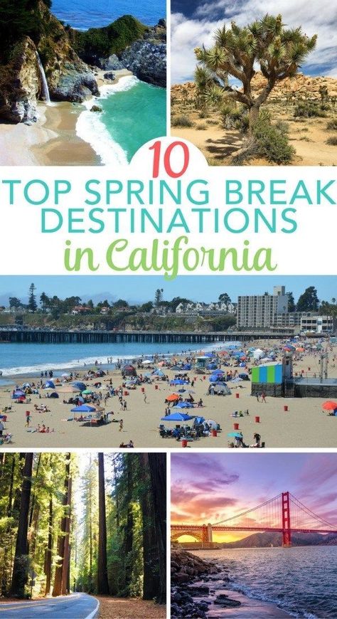 10 Amazing Spring Break Destinations in California for Families Spring Break Destinations Families, Spring California, 365 Questions, Anniversary Destinations, Family Spring Break, Spring Break Kids, Spring Break College, Break Ideas, Spring Break Vacations