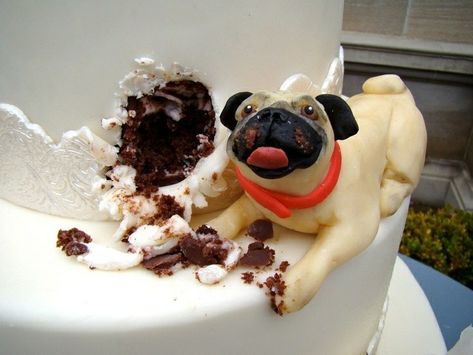 Pug Cake, Funny Wedding Cakes, Pugs And Kisses, Rustic Cake Toppers, Bridal Shower Cakes, Dog Cakes, Dog Cake, Unique Wedding Cakes, Cake Pictures