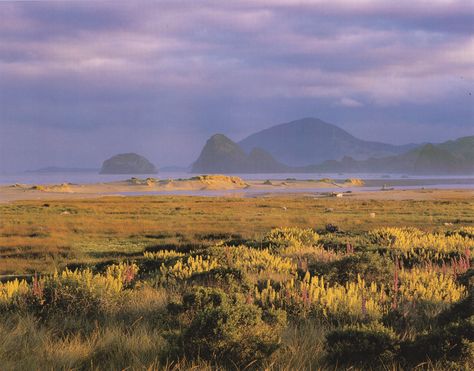 oregon coast Oregon Coast, Nature Aesthetic, Pretty Places, Mother Earth, Pretty Pictures, The Great Outdoors, Mother Nature, Beautiful Nature, Oregon