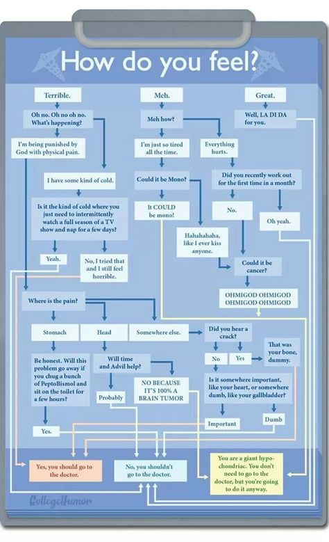 Funny Flow Charts, Flow Charts, Venn Diagrams, Im Just Tired, Decision Tree, Personal Wellness, Home Management Binder, Pop Quiz, Bad Behavior