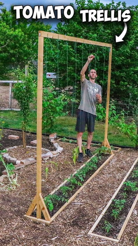 Mini RAISED BED Using ONE PALLET, FREE Backyard Gardening🪴 If you want to build a Raised Bed for FREE this is how!! Thanks for the kind … | Instagram Raised Bed Along House, Garden Bed Protection Diy, Building A Garden Bed, Potager Vegetable Garden, Upcycle Raised Garden Bed, Backyard Garden In Ground, Raised Bed Garden Pallet, Tomato Beds Raised, No Till Gardening Raised Beds