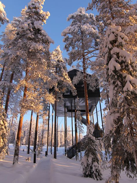 Swedish Forest, Mirror Cube, Northern Sweden, Treehouse Hotel, See The Northern Lights, Dream Holiday, Travel Items, Winter Aesthetic, Bora Bora