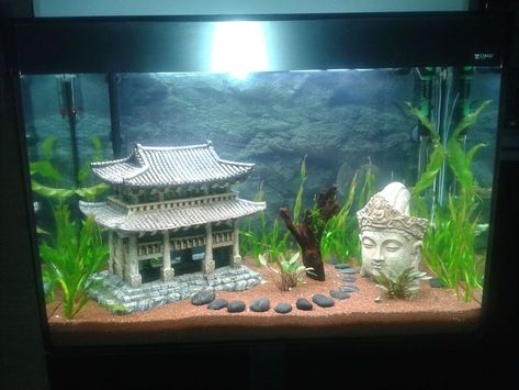 Japanese Fish Tank, Community Fish Tank, Cool Fish Tank Decorations, 10 Gallon Fish Tank, Fish Tank Themes, Amazing Aquariums, Goldfish Tank, Fish Tank Terrarium, Cool Fish Tanks