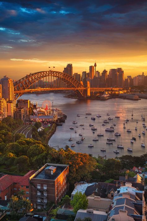 The 10 Places To Get The Best Views In Sydney, Australia Sydney Skyline, Sydney Travel, Australia Vacation, Sydney City, Fashion Australia, Reebok Crossfit, Australia Fashion, Australia Sydney, Cities Of The World