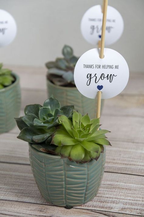 Plant As Gift Ideas, Succulent Appreciation Gift, Plant For Teacher Gift, Teacher Gift Plant Free Printable, New Year Gift For Teachers, Succulents Teacher Appreciation, Plants For Teacher Appreciation, Teacher Succulent Gift Tag, Thank You Plants Appreciation Gifts