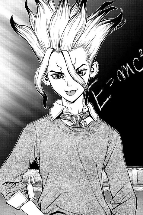 Boichi Manga, Senku Ishigami, Anime W, Stone World, Stone Wallpaper, Rock And Pebbles, E Mc2, Dr Stone, Manga Pages