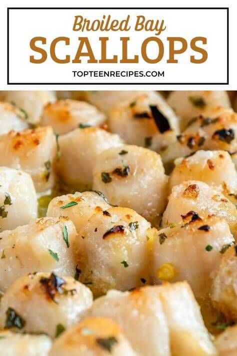 Broiled Bay Scallops - Top Recipes Bay Scallops Recipe, Bay Scallop Recipes, Cook Scallops, Scallops Salad, Bay Scallops, Scallops Recipe, Seafood Dish Recipes, How To Cook Scallops, Sea Scallops