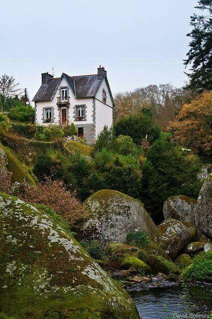 Wonderful Cottage Cabin, Dream Cottage, Cabins And Cottages, Cottage Living, Cozy Cottage, Cottage Homes, Little Houses, Lush Green, Country Cottage