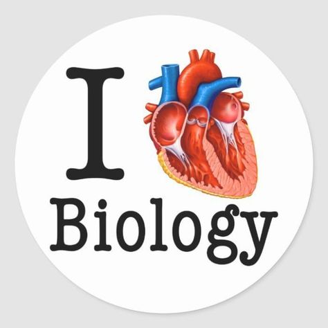 Biology Anatomy Art, Biology Dp For Whatsapp Group, Biology Group Chat Names, Biology Wallpaper Science, Biology Art Design, Biology Logo Design, Biology Design Ideas, Biology Lettering, Small Cute Stickers