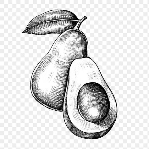 Avocado Sketch, Fruit Black And White, Vegetables Sketch, Avocado Drawing, White Vegetables, Avocado Illustration, Avocado Tattoo, Illustration Black And White, Flash Ideas