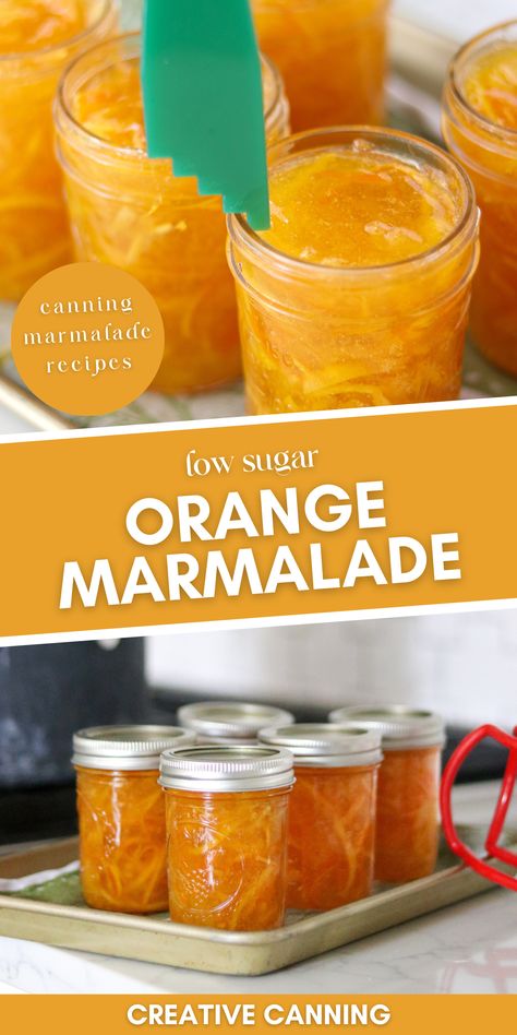 Low Sugar Orange Marmalade Recipe for Canning - Looking for an easy orange marmalade recipe? Not only is this recipe simple and delicious, but it also serves as a tasty glaze on chicken, pork chops, and ham, making it a great addition to any meal. Plus, this marmalade is made without added sugars or corn syrup, making it a healthier alternative to traditional fruit preserves. So get ready to get home canning and start making this tasty low-sugar orange marmalade! Orange Marmalade For Canning, Canning Orange Marmalade, Sugar Free Orange Marmalade Recipe, Orange Marmalade Canning Recipe, How To Make Orange Marmalade, Easy Orange Marmalade Recipe, Canning Marmalade, Sugar Free Marmalade Recipe, Easy Marmalade Recipe