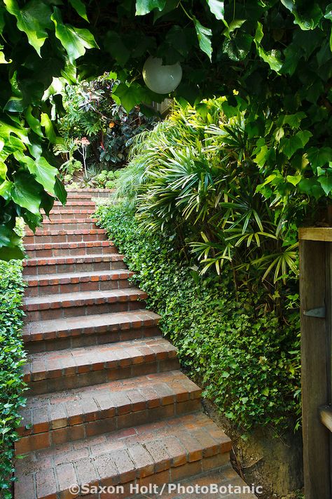 Brick path steps leading up hill inside entry gate to Worth garden, California Brick Patio Steps, Steps Garden, Garden California, Landscape Bricks, Garden Library, Brick Steps, Leading Lines, Entry Gate, Brick Patio