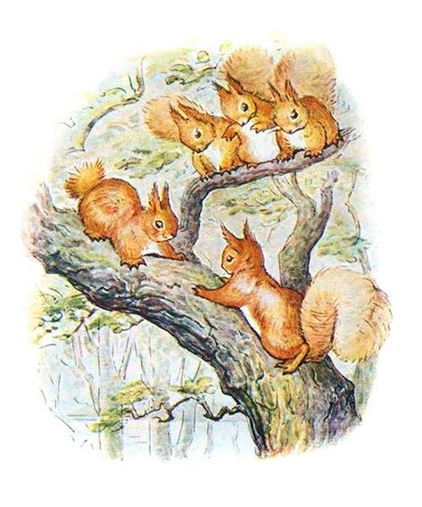 Nutkin up a Tree – Old Book Illustrations Peter Rabbit Illustration, Whimsical Nursery Art, Two Squirrels, Old Book Illustrations, Squirrel Nutkin, Beatrix Potter Illustrations, Free Online Library, Peter Rabbit And Friends, Rabbit Illustration