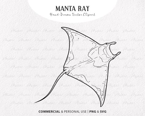 Stingray Drawings, Stingray Tattoo Outline, Manta Ray Drawing Easy, Manta Rays Drawing, Manta Tattoo Design, How To Draw Manta Ray, Ray Fish Drawing, Mantaray Tattoo Design, How To Draw A Stingray