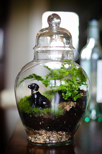 Custom Black Lab Terrarium | Flickr - Photo Sharing! Pet Memorial Ideas Dogs, Pet Memorial Garden, Memorial Ideas, Pet Cemetery, Pet Keepsake, Pet Ashes, Terrarium Diy, Garden Terrarium, Miniature Diy