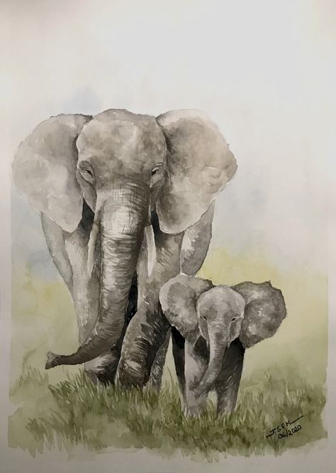 Elephant In Watercolor, Drawing An Elephant, Forest Drawing With Animals, Ghibli Concept Art, Paintings Of Elephants, Elephants Watercolor, Water Animals Art, Watercolor Elephants, Elephants Painting