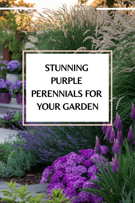 Stunning purple perennials in a lush garden setting. Flowers In Containers, Purple Perennials, Benefits Of Lavender, Liriope Muscari, Purple Flowers Garden, Lavender Benefits, Purple Plants, Cozy Patio, Gallery Wall Inspiration