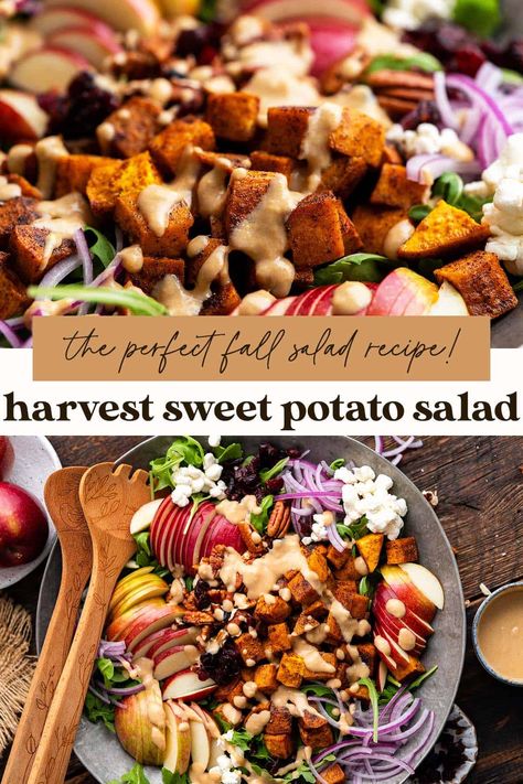 Packed with autumnal ingredients like sweet potato, apple, cranberry, and pecans, this harvest salad recipe is perfect for fall! It's a wonderful stand-alone lunch, main course if you add protein, or festive side dish for special meals like Thanksgiving. Salad Recipes With Sweet Potato, Fall Potato Salad, Dressing For Sweet Potato Salad, Salads With Sweet Potatoes, Fall Salads With Sweet Potato, Thanksgiving Salad Sweet Potato, Easy Fall Salad Recipes, Winter Salad Sweet Potato, Fall Salad With Blue Cheese