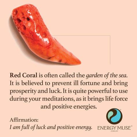 Red Coral. Perhaps to put this next to the money tree on the way out the door and briefly meditate about it. My breath comes deeply when I think of the stones. Energy Muse, Coral Crystal, Gemstone Meanings, Crystal Therapy, Crystal Healing Stones, Crystal Magic, Coral Red, Rocks And Gems, Energy Crystals