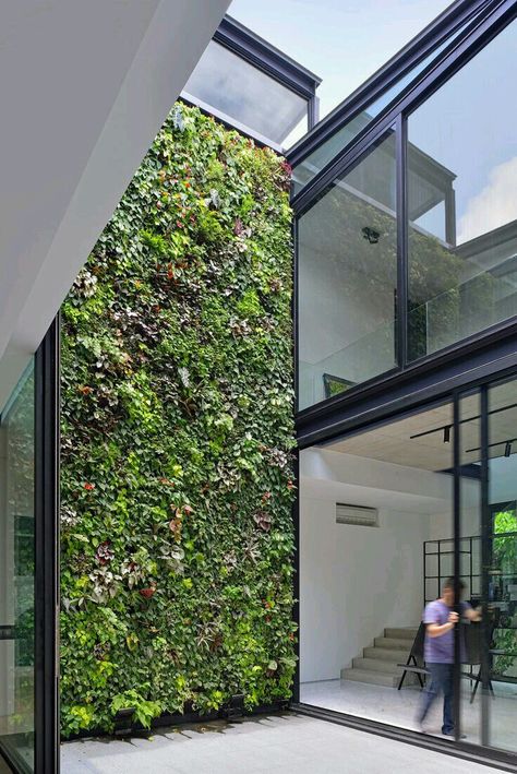 Use the GroVert planter to design yours. www.buylivingwalls.com Foto Scale, Vertical Garden Design, Internal Courtyard, Green Architecture, Patio Interior, Wall Garden, Interior Garden, Living Wall, Outdoor Wall Decor