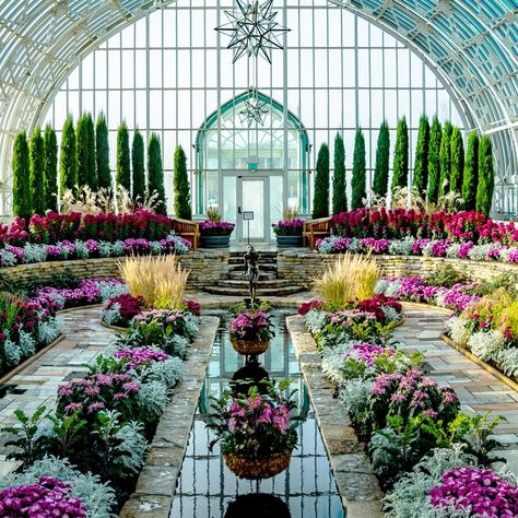 Patti's Guide: Things to Do In and Around the Twin Cities — Patticake Wagner Como Conservatory, Minnesota Garden, Orchid Drawing, Orchid House, Story Wedding, North Garden, Greenhouse Interiors, Sunken Garden, Dappled Light