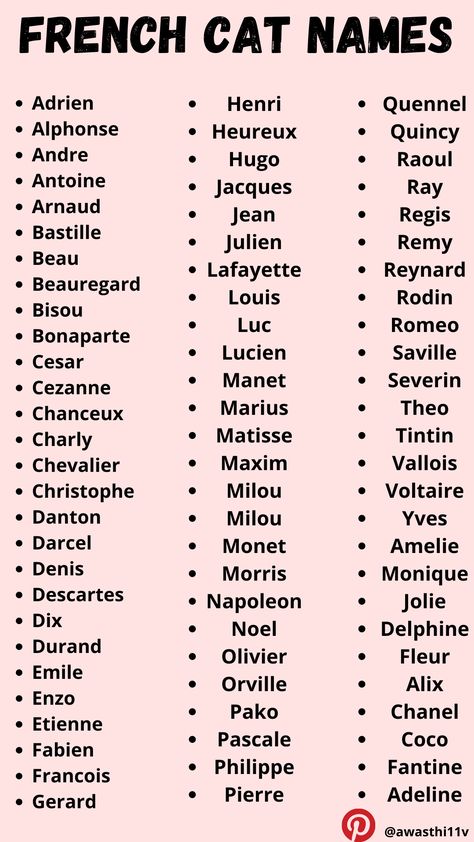 French Names For Boyfriend, Coquette Cat Names, Name Cat Ideas, Male Cat Names Unique List, Pretty Male Names, French Last Names For Characters, French Names Male, French Pet Names, Korean Cat Names