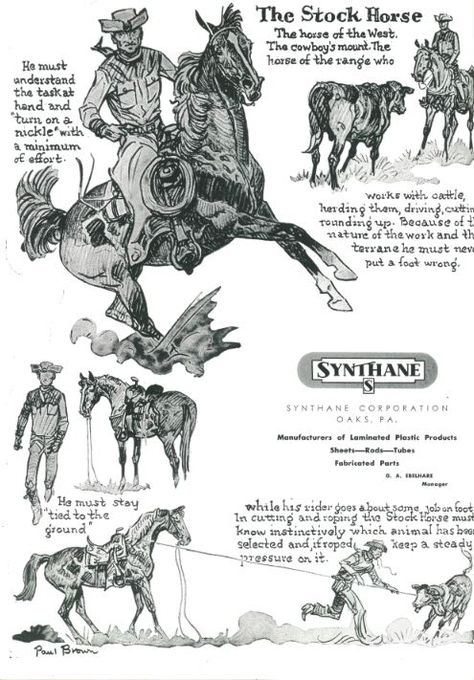 The Stock Horse illustrated by Paul Brown Pennsylvania National Horse Show Program 1955 Riding Horse Illustration, Brown Horse Art, Western Sketches, Battle Horse, Stock Horse, Cartoon Horse, Western Journal, Paul Brown, Western Artwork