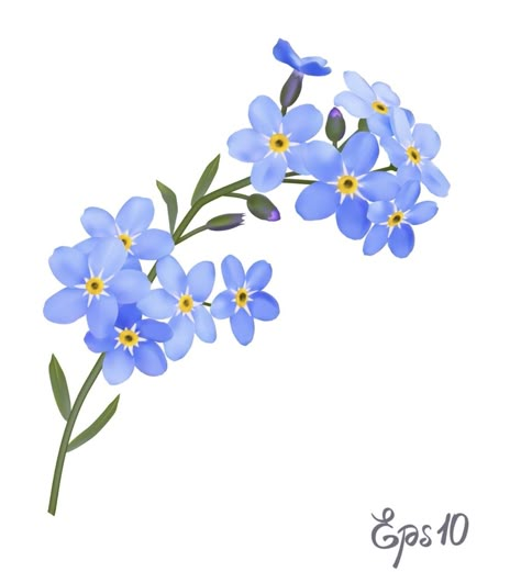 Forget Me Nots Flowers, Forget Me Not Flowers, Flower Icons, 카드 디자인, 수채화 그림, Forget Me Nots, Art Style Inspiration, Arte Floral, Free Vector Graphics