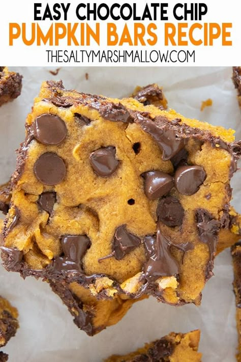 Chocolate Chip Pumpkin Bars, Roots Recipes, Fall Sweets, The Salty Marshmallow, Salty Marshmallow, Butter Sugar Cookies, Chocolate Chip Bars, Pumpkin Chocolate Chip, Pumpkin Bars