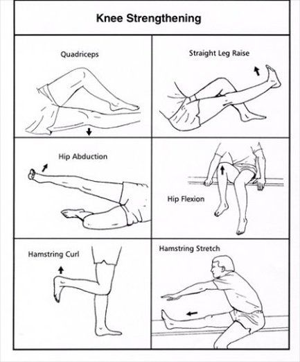 Picture Inner Leg Workout, Planning Sport, Artery Cleanse, Acl Recovery, Bad Knee Workout, Knee Strength, Knee Strengthening Exercises, How To Strengthen Knees, Knee Pain Exercises