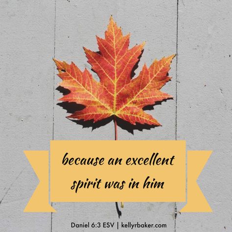 Daniel 6:3 an excellent spirit Spirit Of Excellence, Gods Glory, Fresh Market, Christian Encouragement, Christian Living, Bible Inspiration, Caregiver, Spiritual Growth, The Spirit