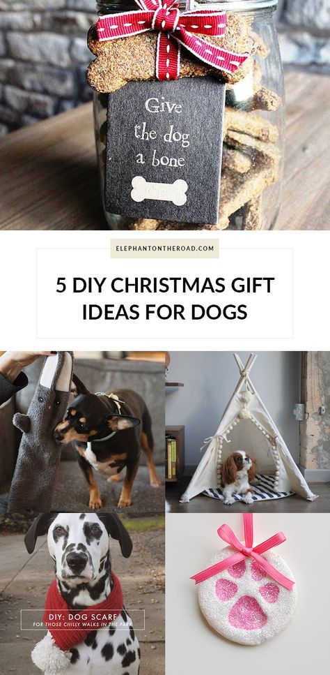 5 DIY Christmas Gift Ideas For Dogs. Blogmas. Elephant on the Road. Dog Gifts Christmas, Diy Dog Gifts, Christmas Gift Pictures, Christmas Dog Gifts, Christmas Gift Ideas Handmade, Christmas Gifts For Dogs, Dog Christmas Presents, Christmas Gift Exchange Games, Christmas Dog Toy