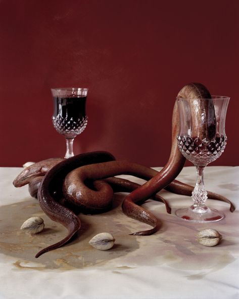 11 Contemporary Baroque Still Lifes That Will Lure You To The Dark Side | HuffPost Contemporary Baroque, Still Life Photos, 다크 판타지, A Snake, The Dark Side, Red Aesthetic, Art Plastique, Life Photography, Still Life Photography