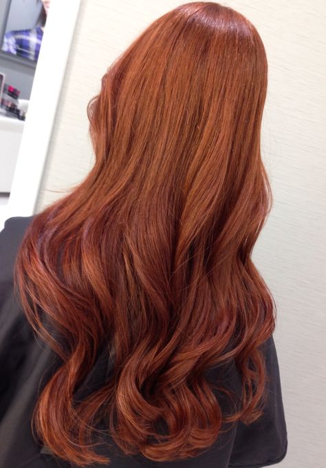 Ombre Hair Ginger, Hair Ginger Brown, Brown Ombre Hair Color, Hair Ginger, Shades Of Red Hair, Ginger Brown, White Hair Color, Brown Ombre Hair, Red Hair Inspo