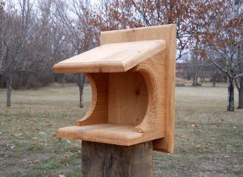 Cedar birdhouse, American Robin and Barn Swallow wood birdhouse, bird nesting platform. $15.00 Robin Bird House, Morning Doves, Platform Bird Feeder With Roof, Wooden Birdhouse, Bluebird House, Barn Swallow, American Robin, Bird Houses Ideas Diy, Nesting Box