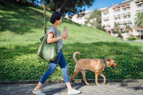 TikTok’s "50-Mile Month" Walking Challenge Is Easier Than You Think Dog On A Leash, Walking Tips, Short Dog Leash, Dog 101, Walking Challenge, Short Dog, Cat Allergies, How To Walk, Kitten Care