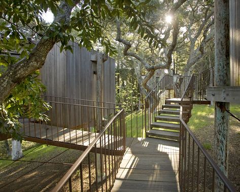 Tree House Hotel, Elevated Walkway, Post Ranch Inn, Luxury Tree Houses, Treehouse Hotel, Cabin Tent, Safari Tent, Luxury Resorts, House Luxury