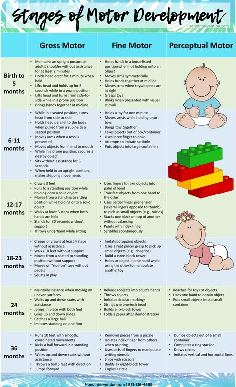 Stages of Motor Development Fine Motor Development Chart, Prenatal Development Stages, Infant Physical Development Activities, Growth And Development Nursing Pediatric, Erickson Stages Of Development, Eriksons Stages Of Development, Piaget Stages Of Development, Baby Stages Of Development, Developmental Milestones Toddlers