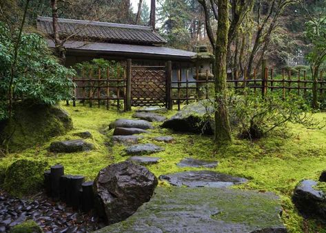 © Tyler Quinn, Tea Garden Adachi Museum Of Art, Japanese Style Garden, Portland Japanese Garden, Japanese Tea House, Japanese Tea Garden, Japanese Zen Garden, American Garden, Japanese Garden Design, Gallery Space