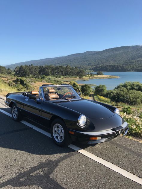 Kylie Cars, Alpha Romeo Car, Alpha Romeo Spider, Alfa Romeo Vintage, Old Convertible Cars Aesthetic, Alfa Romeo F1 Aesthetic, Alfa Spider, Old Alfa Romeo Cars, Alfa Romeo Spider Duetto