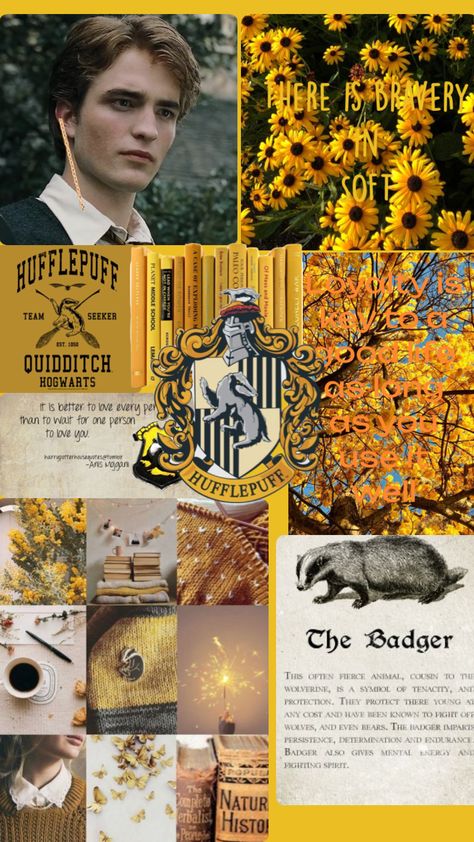 Hufflepuff Wallpaper Iphone, Harry Potter Collage, Hufflepuff Wallpaper, Harry Potter Wallpaper, Wallpaper Iphone, Hogwarts, Harry Potter, Collage, Iphone