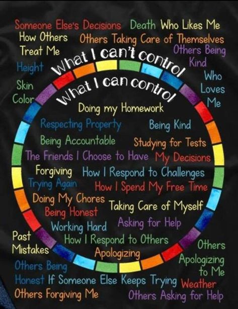 Graphic showing what we can and can’t control Uppfostra Barn, I Can Control, Education Positive, Parenting Skills, School Counseling, Social Emotional Learning, Coping Skills, Positive Parenting, A Circle