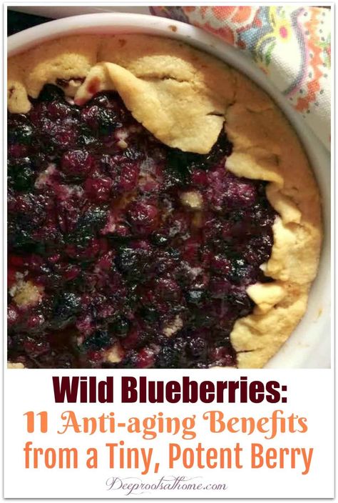 Healthy Food Recipe, Frozen Summer, Diy Cleaning Products Recipes, Wild Blueberries, Wellness Fitness, Nutrition Advice, Healthy Dessert Recipes, Cooking Ideas, Healthy Living Tips